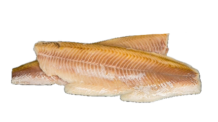 Bio Knospe Forellenfilet geräucht  Blausee 2Stk 160g